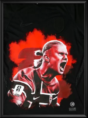 Haaland (Coupe du Monde 2026)
